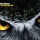 ground_control_owl-100x100